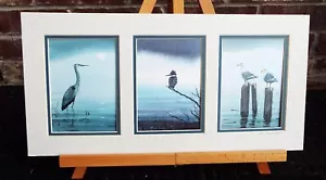 ROBERT TANDECKI SET OF 3 BIRDS WATER-COLOR HAND SIGNED DOUBLE MATTED PRINTS NEW - Picture 1 of 7