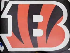 NFL Cincinnati Bengals - Grafica da parete in vinile, nuova (logo squadra) - Foto 1 di 1