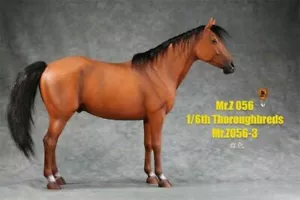 Mr.z 1/6th Horse Animal Model No.56 03 Thoroughbreds Painted Resin Statue Stock - Picture 1 of 5