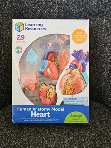 NIB Learning Resources Human Anatomy Model 3D Heart 29 Pieces STEM - Picture 1 of 8