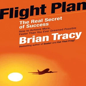 3 Audio Cd Flight Plan: The Real Secret of Success Brian Tracy - Bild 1 von 1