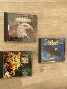 Born to be Wild-3x18 Rock Classics Toto, Rainbow, Survivor  [3CD] - Bild 1 von 4