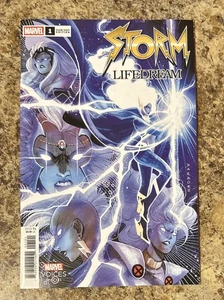Storm- Lifedream #1 / Marvel Comic / 2025 / Karen Darboe Variant - Picture 1 of 2