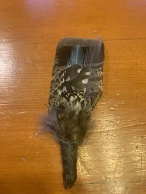 Feathers For Derbys Fedoras Cowboy Hat Accessories Saddleseat Arab Horse Show  Foto 1 de 4