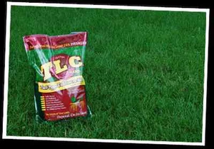 TLC Turf Type Tall Fescue Grass Seed Blend - 5 Lbs. - Picture 1 of 1