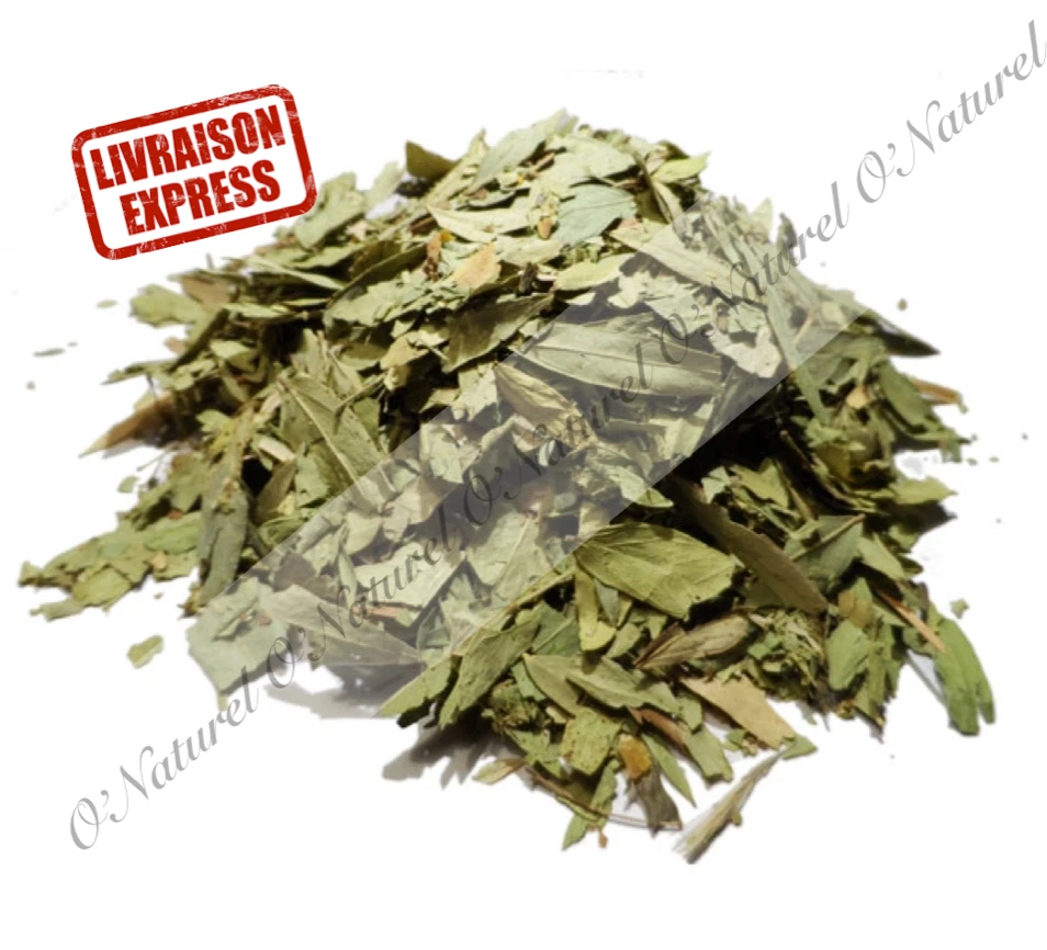 Feuille de Séné BIO 100% Naturelle 80g pour Tisane Senna Leaf, Hoja de Sen