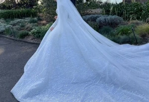 Ivory long Sleeve Wedding dress + Crystal Edge Veil Size 4-6 - Picture 1 of 4