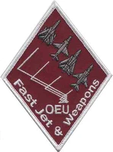 Insignia de parche bordado 41 Squadron TES Royal Air Force - ÚLTIMOS POCOS - Imagen 1 de 5