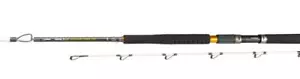 Mikado Baltix King Saumon Trolling 240cm 15-35LBS Trollingrute Tige de Frein - Photo 1/4