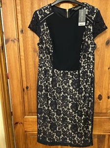 Dorothy Perkins Lace Over Party Evening Cocktail Special Occasion Dress UK12 NEW - Imagen 1 de 11