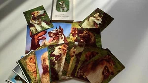 Vintage Soviet postcards Dog breeds USSR - Picture 1 of 10