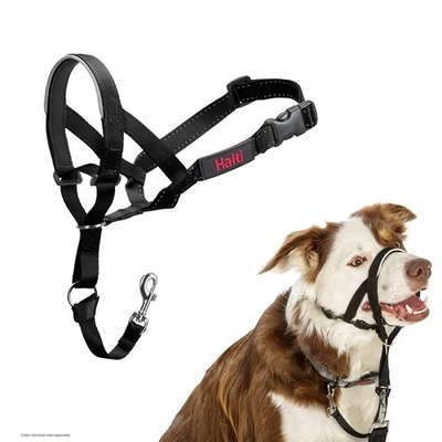 HALTI Headcollar - Para evitar que tu perro tire de la correa. Ajustable, Reflectante... Foto 1 de 4