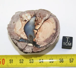 Lithophyse From The Estérel Massif In The Var - France (51 Grams - 002**) - Picture 1 of 6