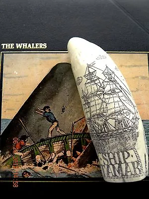 Scrimshaw Sperm Whale Tooth Resin REPRODUCTION Ship   TAMAR  6&1/2 INCHES LONG  • 26.91$