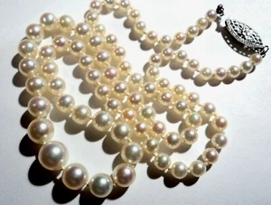 Gorgeous Akoya ROUND Pearl Necklace 18" High Quality 8mm-3mm Sterling Clasp - Picture 1 of 9