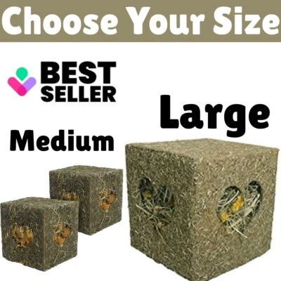 Small Animal Hay Cube Rosewood Naturals Rabbit, Guinea Pig Treat Medium or Large