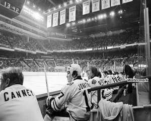 NHL 1979 Stan Jonathan Don Cherry Boston Bruins Bench Gardens 8 x 10 Foto Bild - Bild 1 von 1