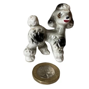 Vintage Porzellan Pudel Hund Welpe Figur Miniatur Japan Kitsch Mini 2,1 Zoll S.. - Bild 1 von 19