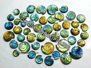 LOTTO ALL'INGROSSO DI GEMME LUCIDATE LABRADORITE AMMONITE NATURALE MULTI FUOCO - Foto 1 di 9