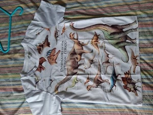 dinosaur t shirt kids - Picture 1 of 4