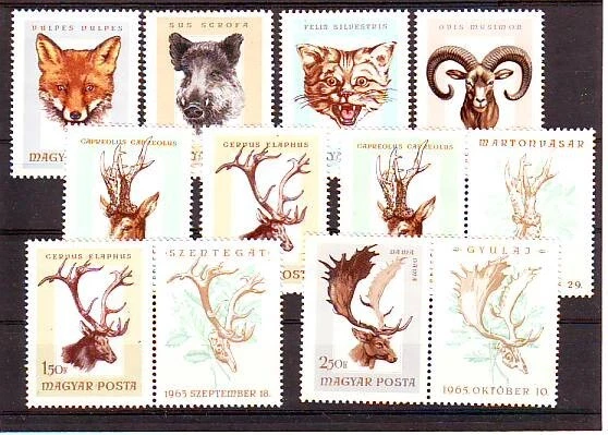 HUNGARY - 1966. Hunting Trophies - MNH - Image 1 of 1