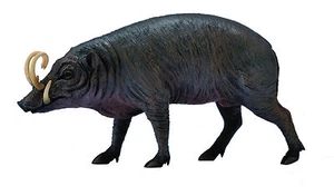 NEW CollectA 88727 Sulawesi Babirusa 10cm - Picture 1 of 2