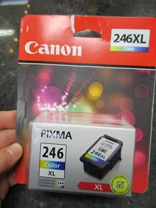 FABRYCZNIE NOWY!! Canon (CL-246XL) Kolorowy wkład atramentowy * DARMOWA WYSYŁKA!! - Zdjęcie 1 z 1