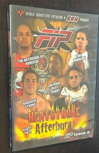 FIP Full Impact Pro Wrestling -- Heatstroke Afterburn DVD -- CM Punk - Picture 1 of 3