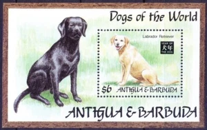 Antigua e Barbuda 1994 MNH MS, Labrador Retriever gioco caccia cani animali domestici - Foto 1 di 1