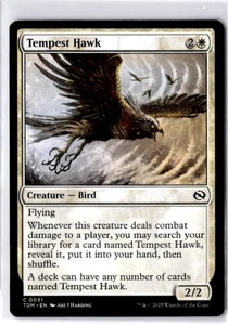 Tempest Hawkx2 - Tarkir: Dragonstorm (TDM) - Picture 1 of 2