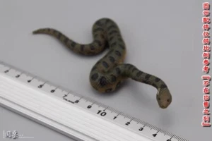 Animal Modelling 1/6 Green Anaconda Statue Animal Figure Model Toys Decoration - Picture 1 of 7