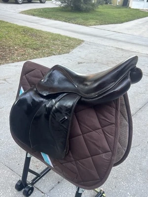 18 英寸伏尔泰棕榈滩水牛,中型树(2018 年型号) — 第 1/4 张图片