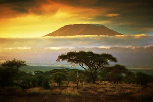 Fototapete-KILIMANJARO-(350P)-350x260cm-7Bahnen 50x260cm-Afrika Tansania Berge - Imagen 1 de 1
