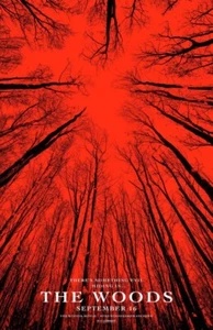 BLAIR WITCH aka THE WOODS great original 27x40 D/S movie poster LAST ONE - Picture 1 of 1