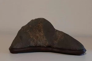 Suiseki Bonseki Bonsai Japanese Garden Zen Old road black stone Rare stone - Picture 1 of 9