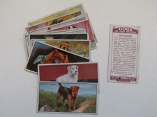 Major Drapkin 1924  Dogs & Their Treatment Various Single Cigarette  Cards (e12)
