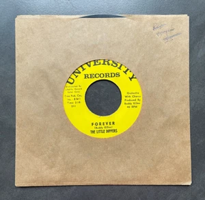 7" The Little Dippers - Forever - US University - Imagen 1 de 1