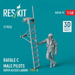 Rafale C male pilot (with access ladder - type 1) (1 pcs) 1/48 ResKit RSF48-0075 - Picture 1 of 4