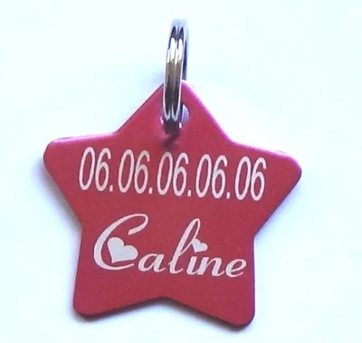 médaille chien taille L métal gravée personnalisée recto verso+anneau+vernis - Immagine 1 di 4