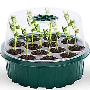 Seeds Starter Trays Greenhouse Grow Trays Mini Propagator  Seed Growing Starting