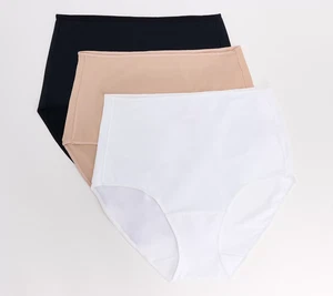 Breezies 3 Pack Stretch Micro Full Brief Panties Basic Pack 1X New - Picture 1 of 1
