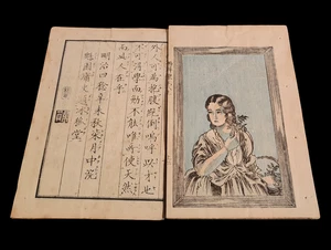 Meiji 1871 Japanese Woodblock Book: Seiyō Dōchū Hizakurige Vol. 8 Part 1 - Picture 1 of 7