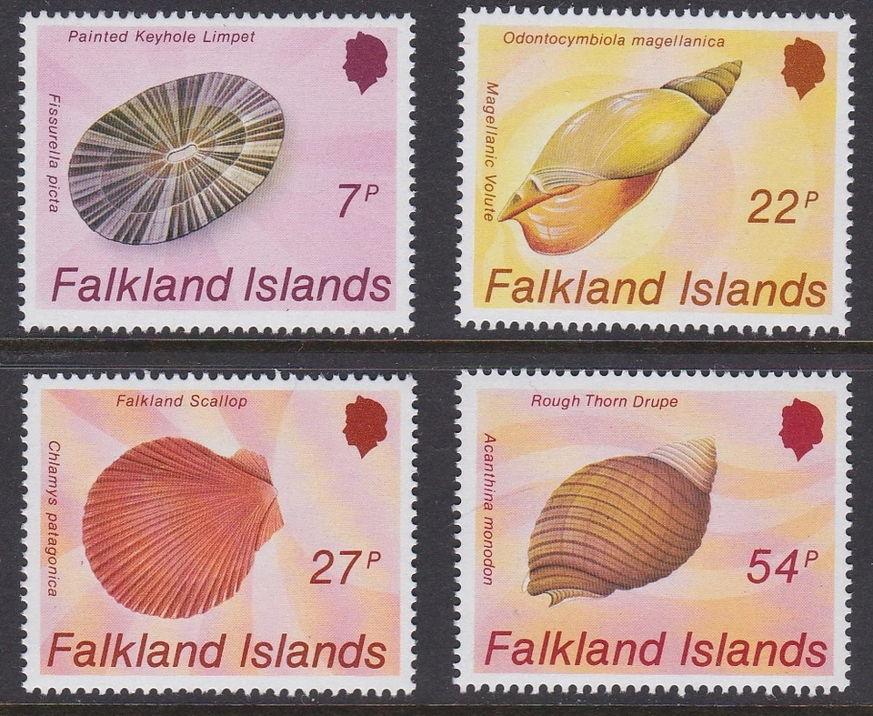 Falkland Is 1986 Seashells MINT SET sg518-521 MNH - Image 1 of 1
