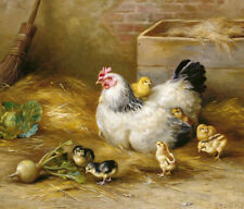 Fun Gift Home Art Wall Decor Chickens Oil Painting HD Picture Printed On Canvas