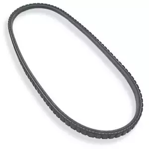 ALLSTAR PERFORMANCE V-Belt 31.5 - Picture 1 of 1