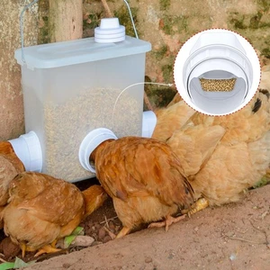 4X Futterautomat hühner Hühner Futterspender Futtertrog Automatische Feeder Huhn - Bild 1 von 22