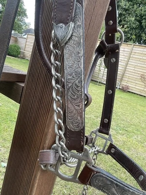 Show Halfter mit Silberbeschlag Western Showhalfter Showmanship Halter Reiten - Bild 1 von 4