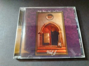 RARE CD MISTER (TOMMY) BOLIN'S BOLIN LATE NIGHT REVIVAL TRIBUTE - Picture 1 of 4