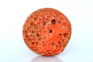 Extraordinary Huge Baluchistan Ancient Coral Bead 25mm 14.8g Natural Color Gem - Picture 1 of 5