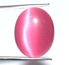24.05 Ct/20 mm Pink Cat&#39;s Eye Gemstone Oval Cabochon Natural Certified B63752